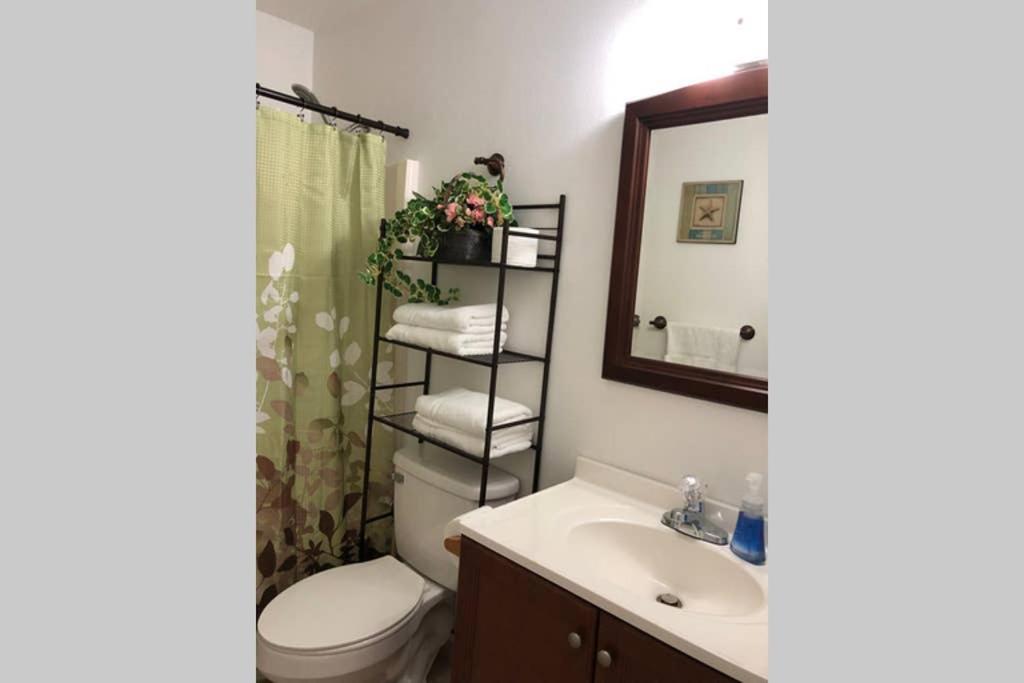 San Carlos Paradise! Holiday home