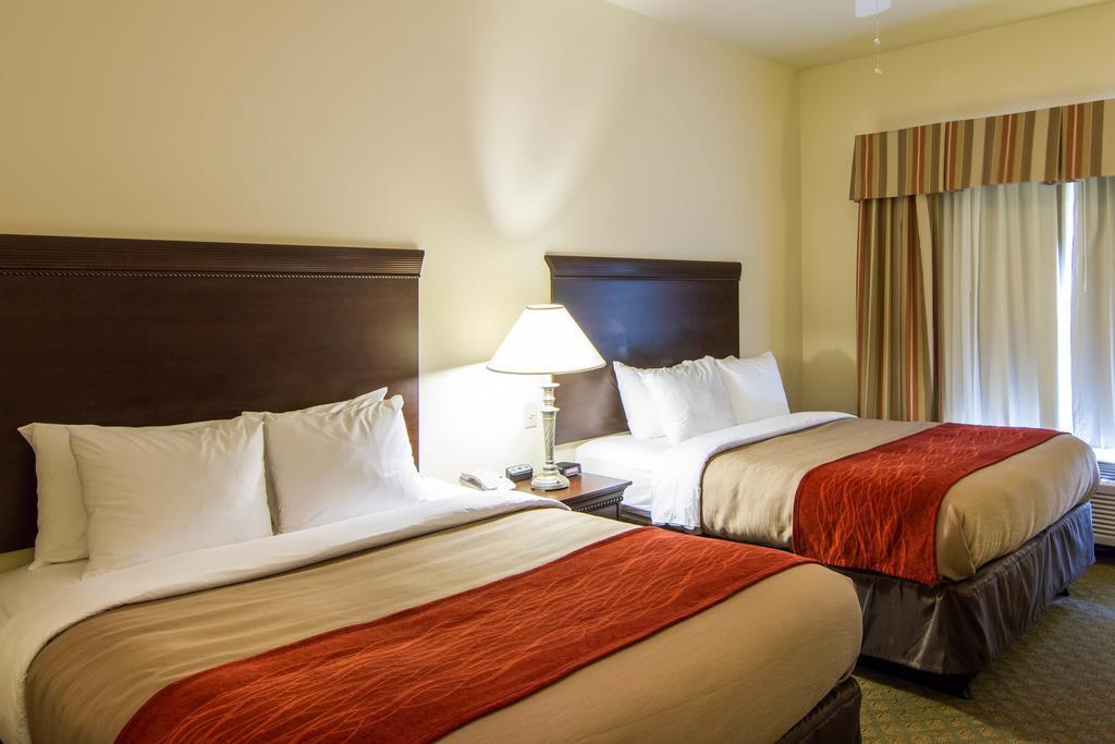 Comfort & Airport Hotel 3*