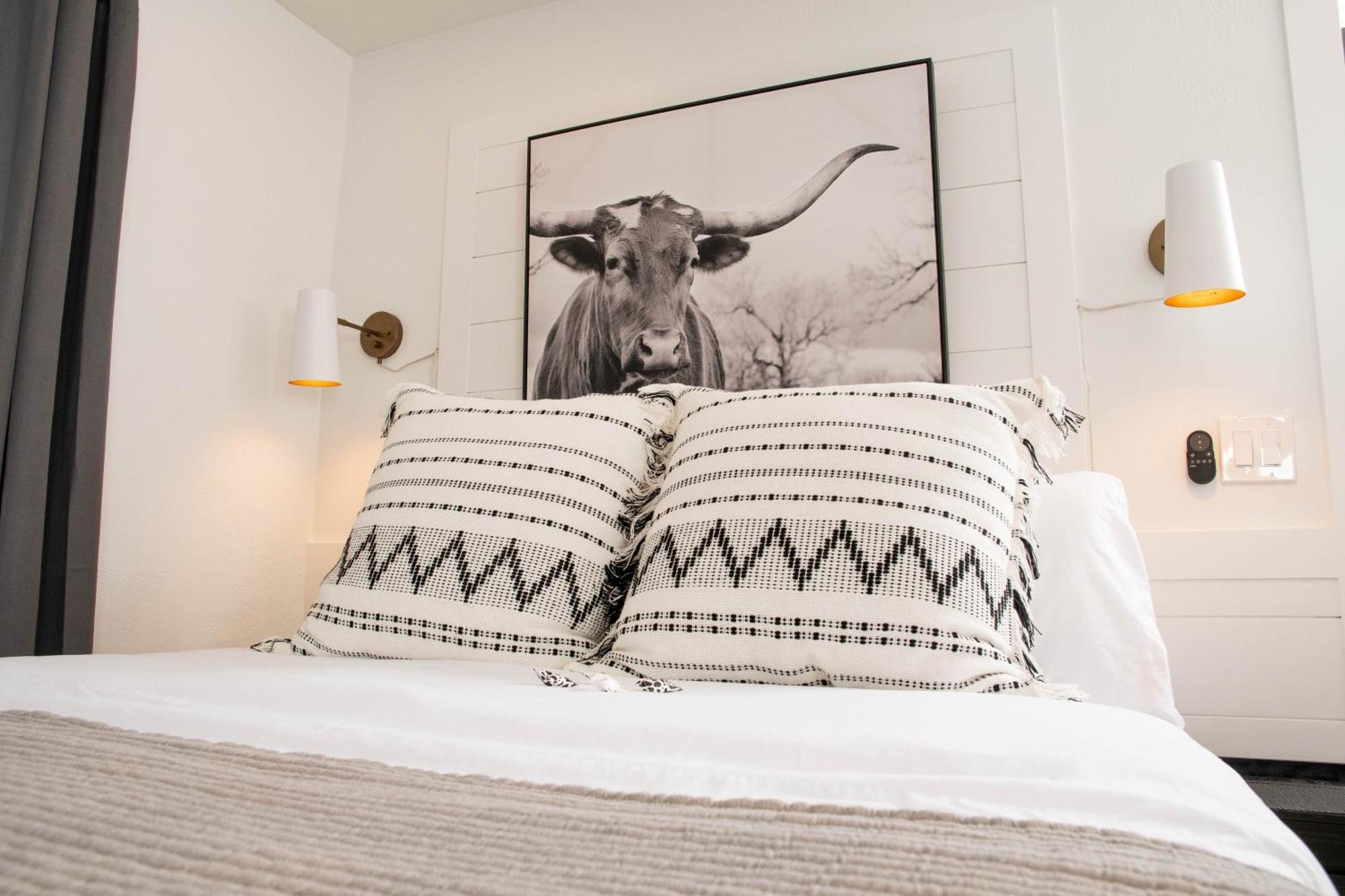 Apartment Cracker Cow - A