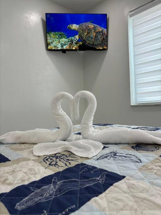 Villabellablue Fort Myers