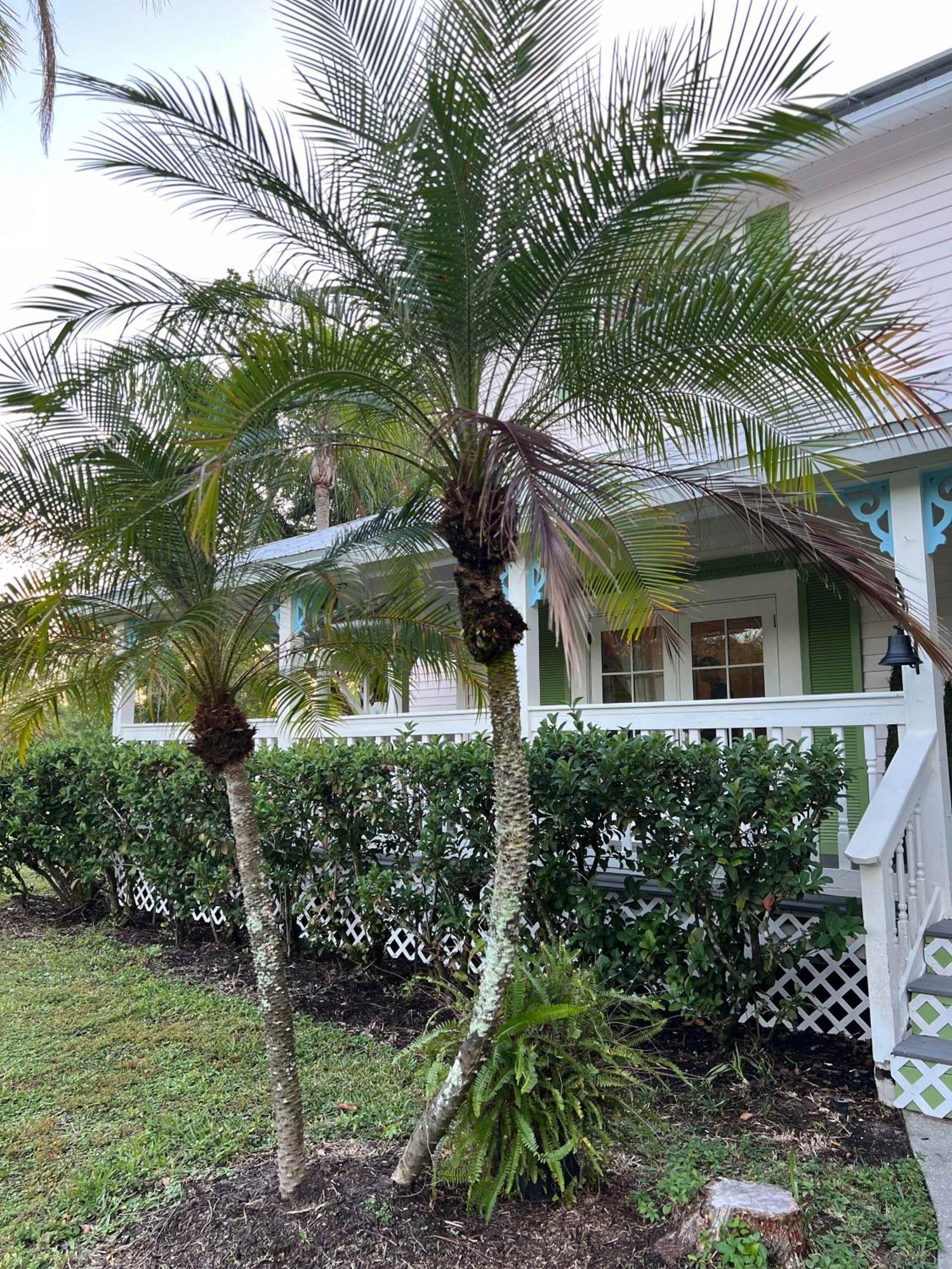 Elegant Private Old South Florida Estate New Sleeps 18 To 20 Large Families Retreat Weddings Reunions Nanny Quarters Holiday home *
