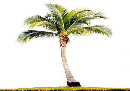 Comfort & Airport Fort Myers