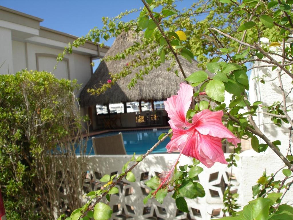 Legacy Harbour & Suites 3*